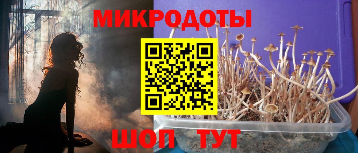 Галлюциногенные грибы мицелий Улан-Удэ
